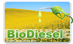 Bio Diesel Fuel Tank Preparation and Cleaning